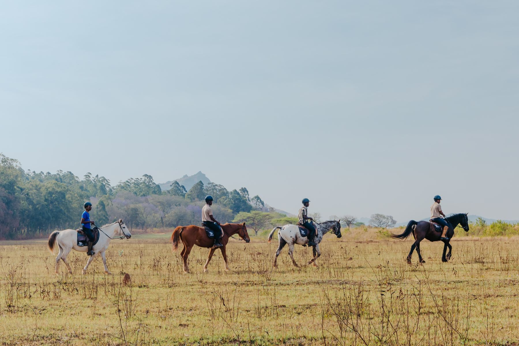Horse riders crossing grassland